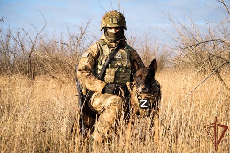 Фото условий