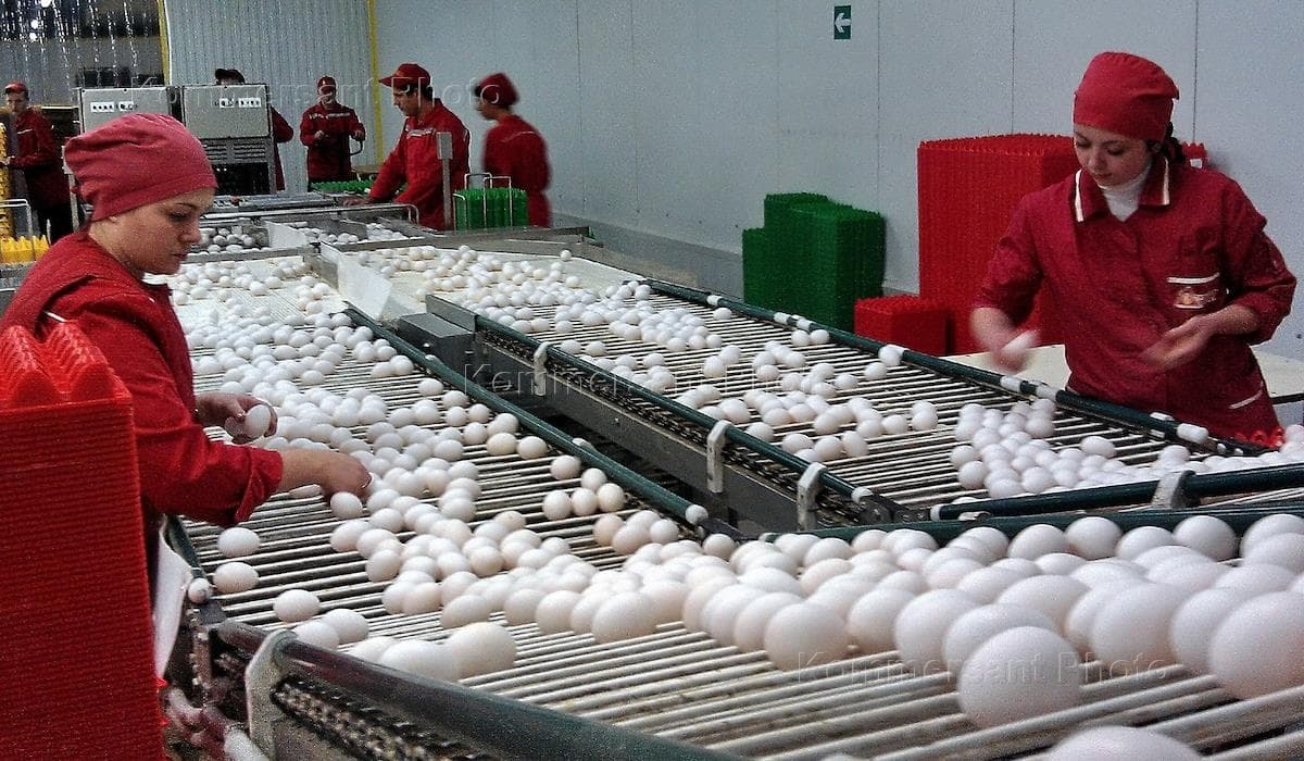 Фото условий